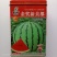 金奖美都西瓜种子早熟品种露天大棚均可种植品种种子