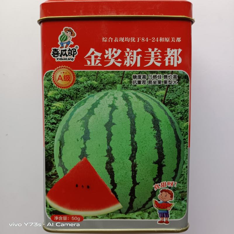 金奖美都西瓜种子早熟品种露天大棚均可种植品种种子