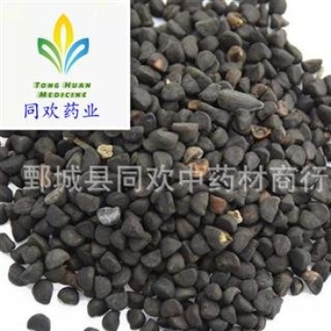 【牵牛子黑丑】@【同欢药材】中药材批发供应