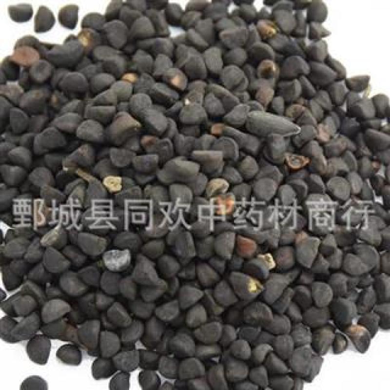 【牵牛子黑丑】@【同欢药材】中药材批发供应