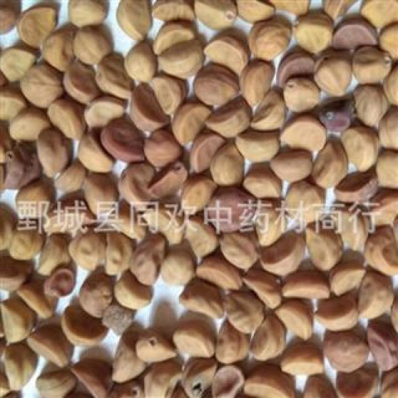 【牵牛子白丑】@【同欢药材】中药材批发供应规格齐全