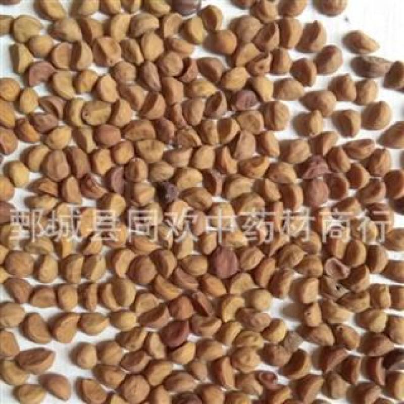 【牵牛子白丑】@【同欢药材】中药材批发供应规格齐全