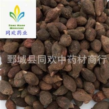 【药用统货胖大海】@【同欢药材】中药材批发供应