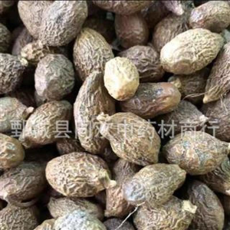 【中选圆粒胖大海】@【同欢药材】中药材批发供应规格齐全