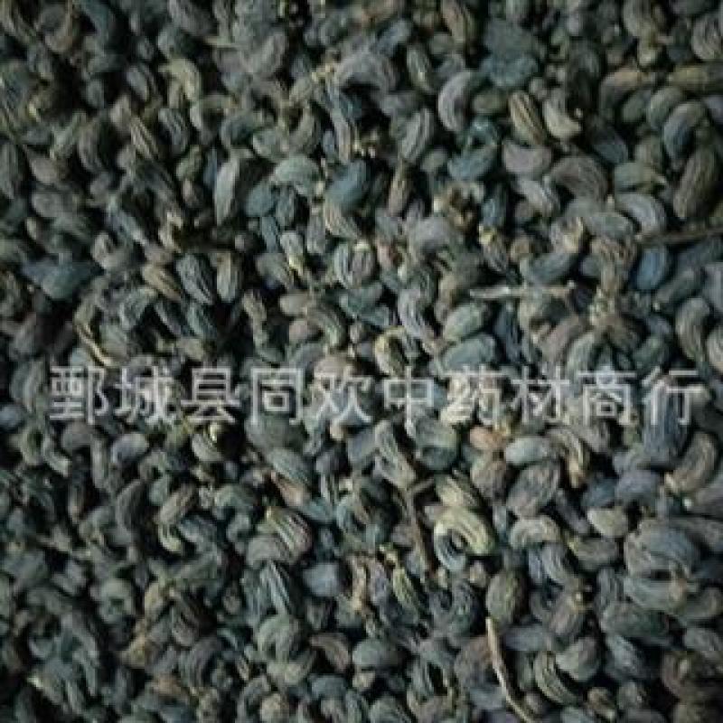 【制女贞子】@【同欢药材】中药材批发供应规格齐全量大从
