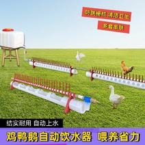 鸡鸭鹅自动喂水器喝水鸡饮水器水槽养殖鸡用自动饮水槽鸭子喝