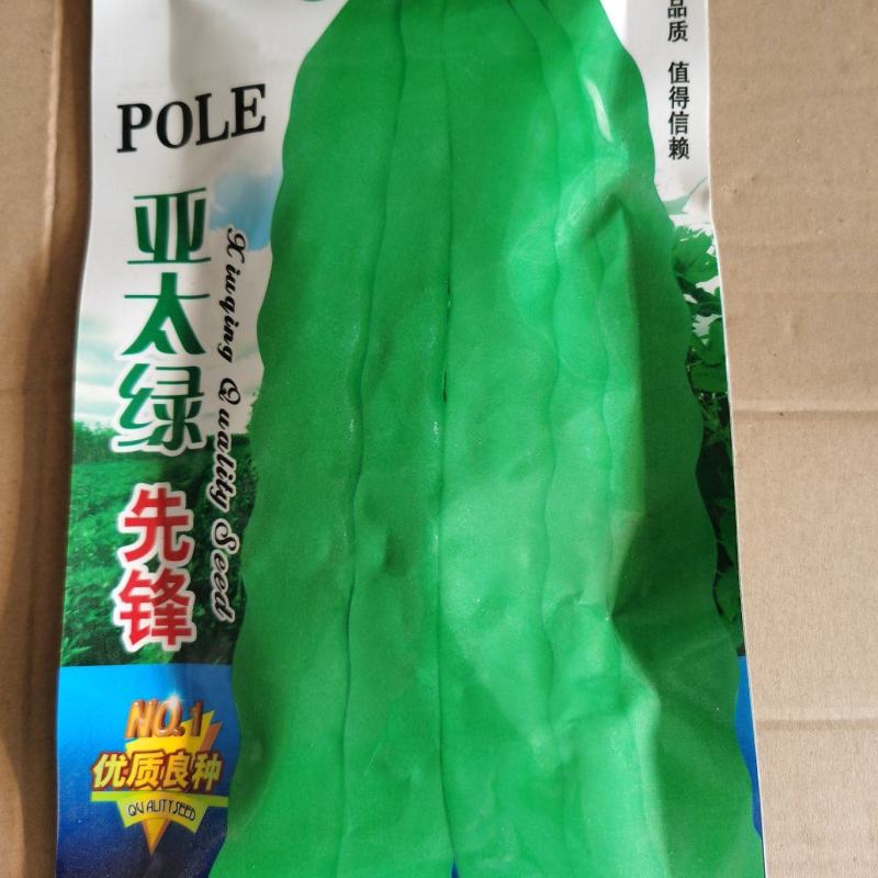 菜豆芸豆种子宽豆角籽早熟高产纤维少嫩荚扁平抗寒强接荚多