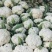 有机无公害散花白花菜绿菜花西蓝花散装产地直发量大价优