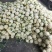 有机花菜进口品种白菜花产地直发价格实惠量大从优甘蓝白花菜
