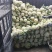 有机花菜进口品种白菜花产地直发价格实惠量大从优甘蓝白花菜