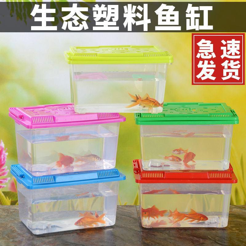 大中小号手提透明宠物饲养盒运输鱼龟盒塑料夜市摆摊金鱼缸
