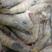 南美盐冻大虾，水冻大虾，一手货源，青岛对虾，质量保证