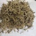 垂盆草锤盆草野生湖北质量保证欢迎下单一公斤起售