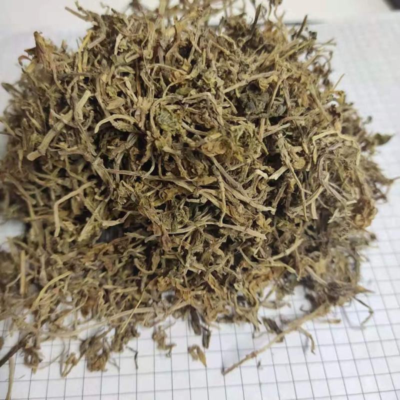 垂盆草锤盆草野生湖北质量保证欢迎下单一公斤起售