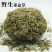 垂盆草锤盆草野生湖北质量保证欢迎下单一公斤起售