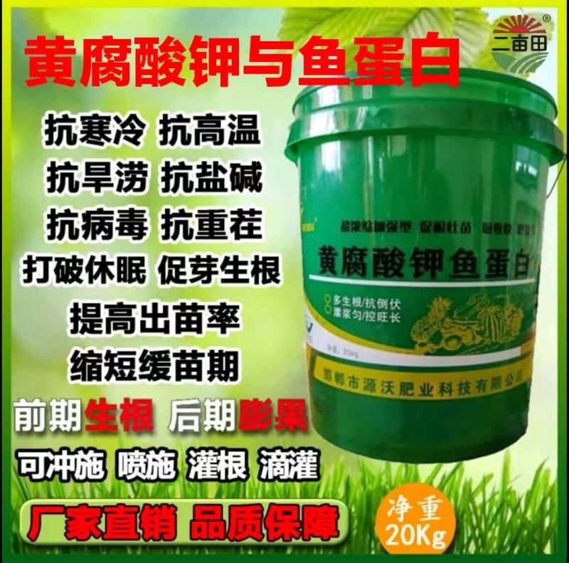 黄腐酸钾鱼蛋白水溶肥，改良土壤，粗根壮苗