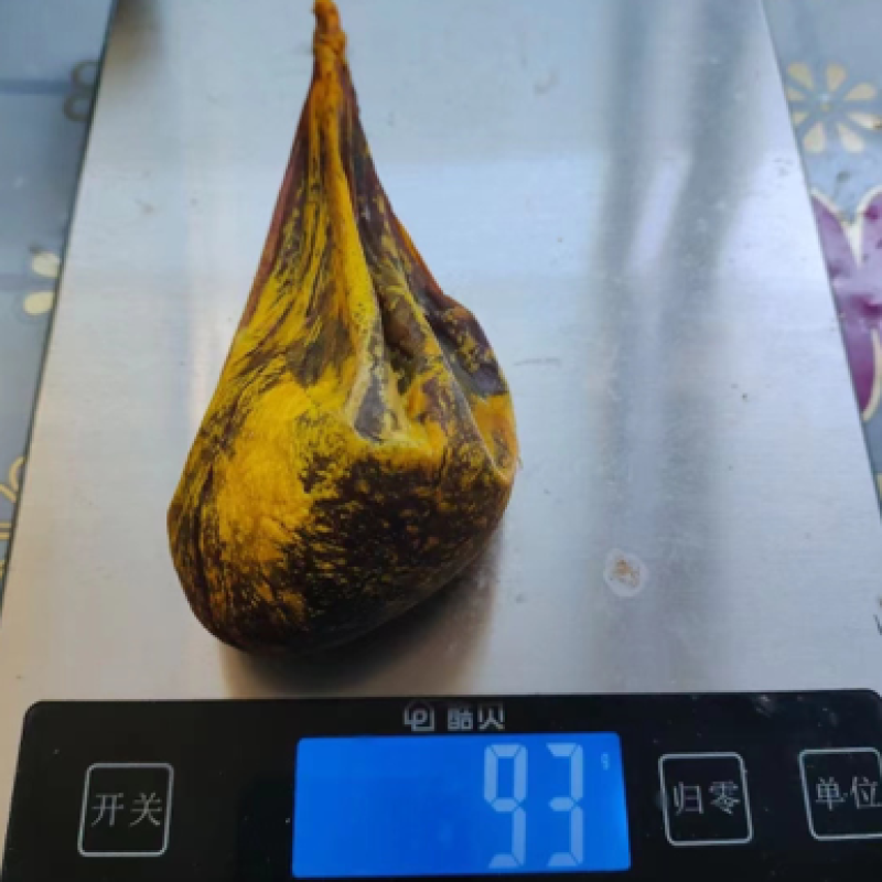 金胆整个散装正规养殖批发正宗