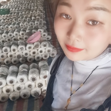 菌棒