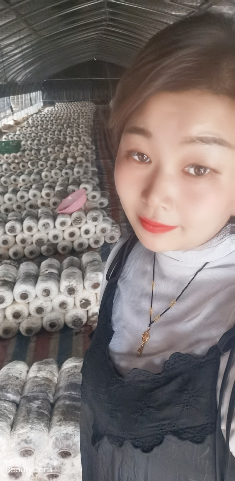 菌棒