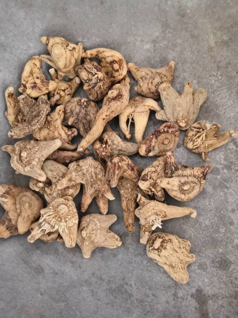 中药材三叉白及白芨白芨片子各种规格新货