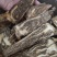 【文斌药业】当归压片当归佛手片甘肃无硫货低价促销