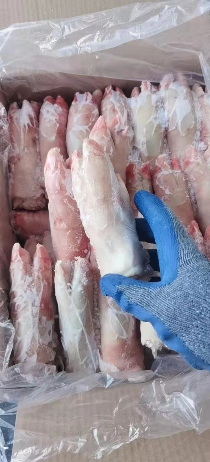 母猪二级蹄手续齐全，25800有需要的老板滴滴