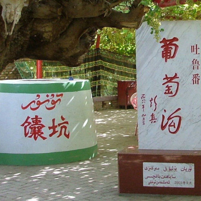 吐鲁番绿葡萄干红提子黑加仑葡萄干大颗粒新货