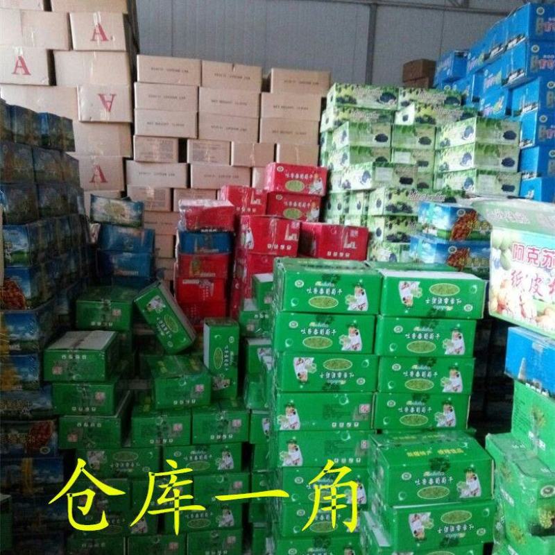 吐鲁番绿葡萄干红提子黑加仑葡萄干大颗粒新货
