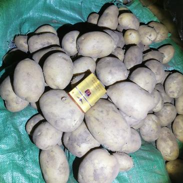 内蒙V7黄皮黄心土豆，产地直发，优质货源，诚信经营