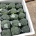 炎秀西兰花福建耐高温耐寒精品西兰花新鲜蔬菜