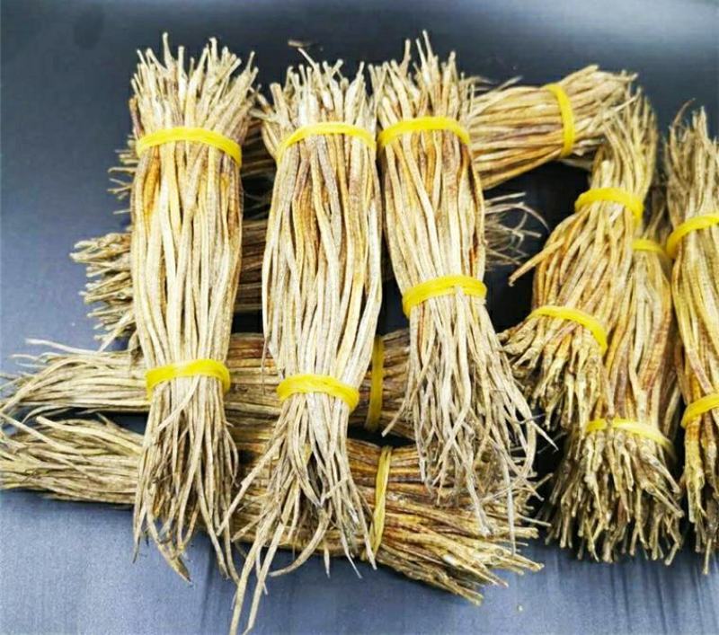 海龙海龙干货泡酒煲汤滋补珍品（0.15元1条包邮）