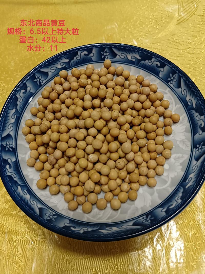 特大粒豆浆黄豆东北黄豆做豆腐高蛋白非转基因大豆精选黄豆