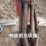 大家好！家林葡萄苗木繁育基地面向全国出售优质葡萄苗
