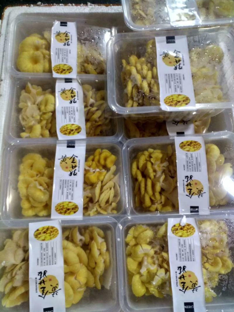 鸡油菌