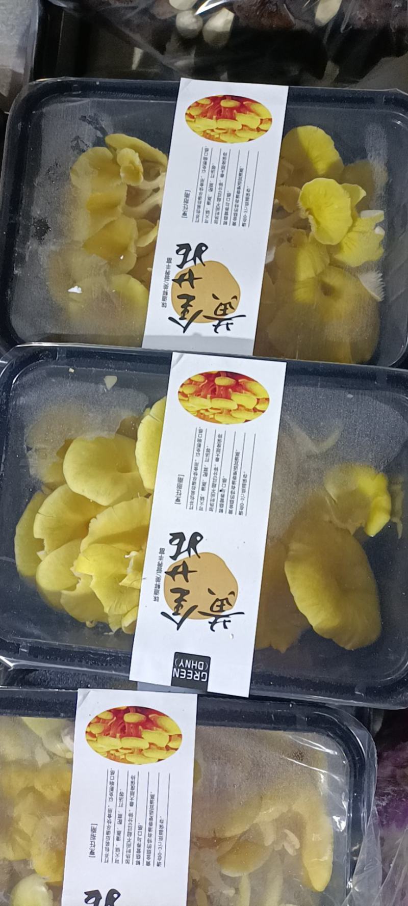 鸡油菌