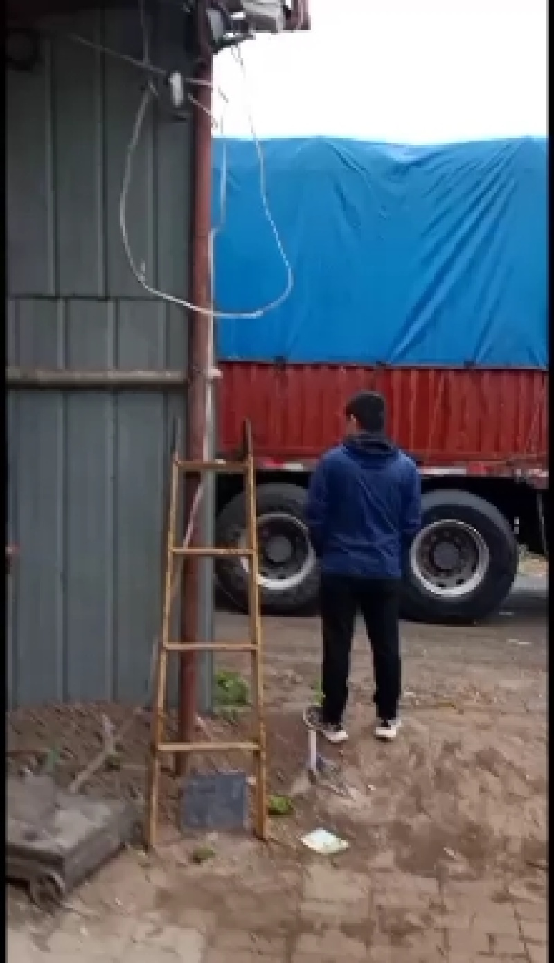 山东省济南市商河县太空椒，青椒，圆椒，基地！承接加工厂，