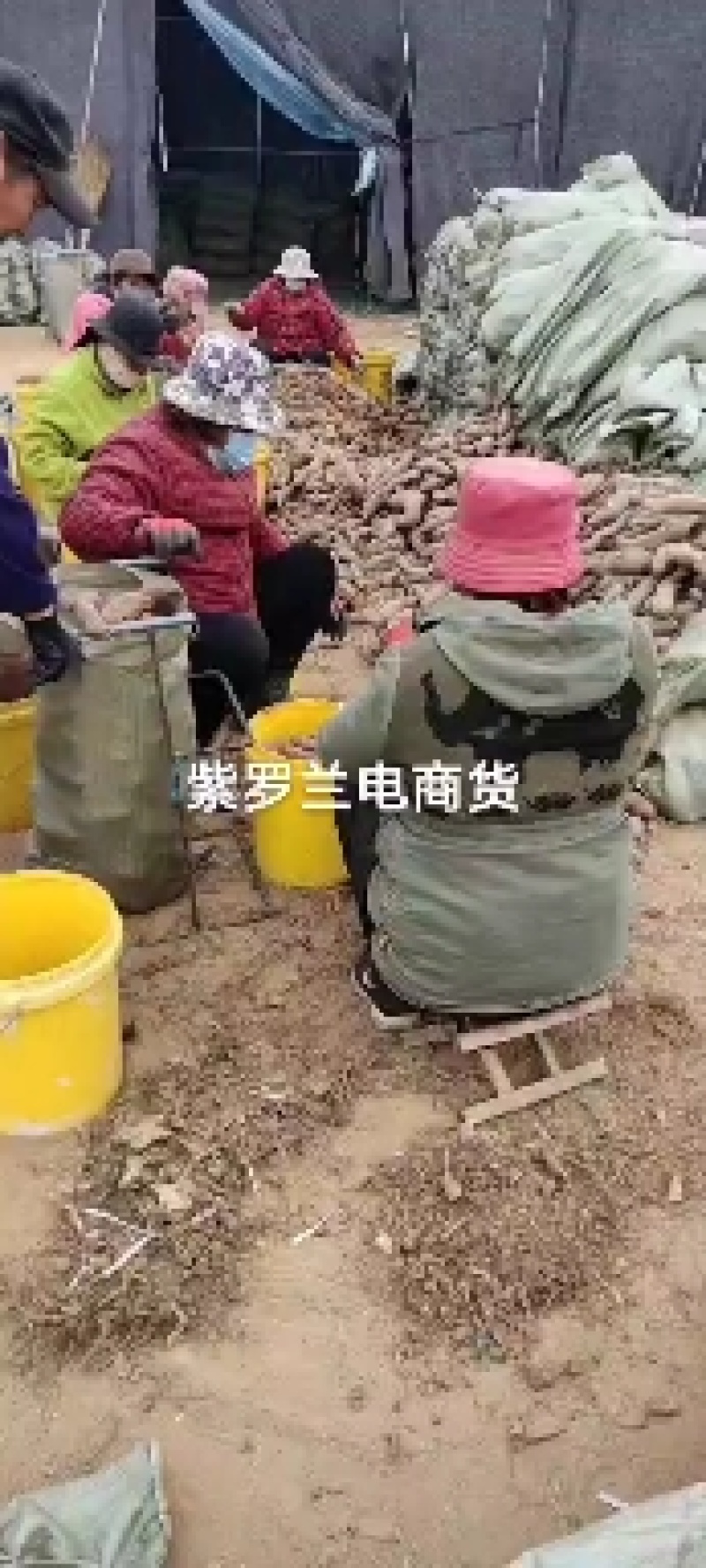 紫罗兰电商货，有分捡精品，有原包通货，适合电商微商超市，