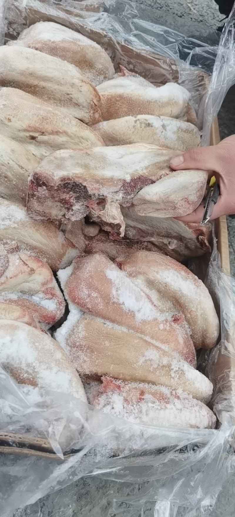 鲜冻驴口条马口条驴舌头颜色鲜质量优全程冷链运输欢迎选购