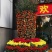 广州白云花都超大盆企业单位工厂门囗朱砂桔春节年桔盆栽