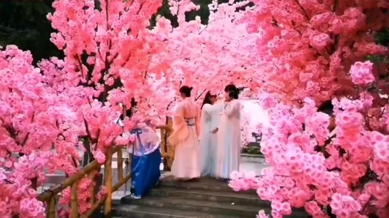 仿真摇钱树金榕树