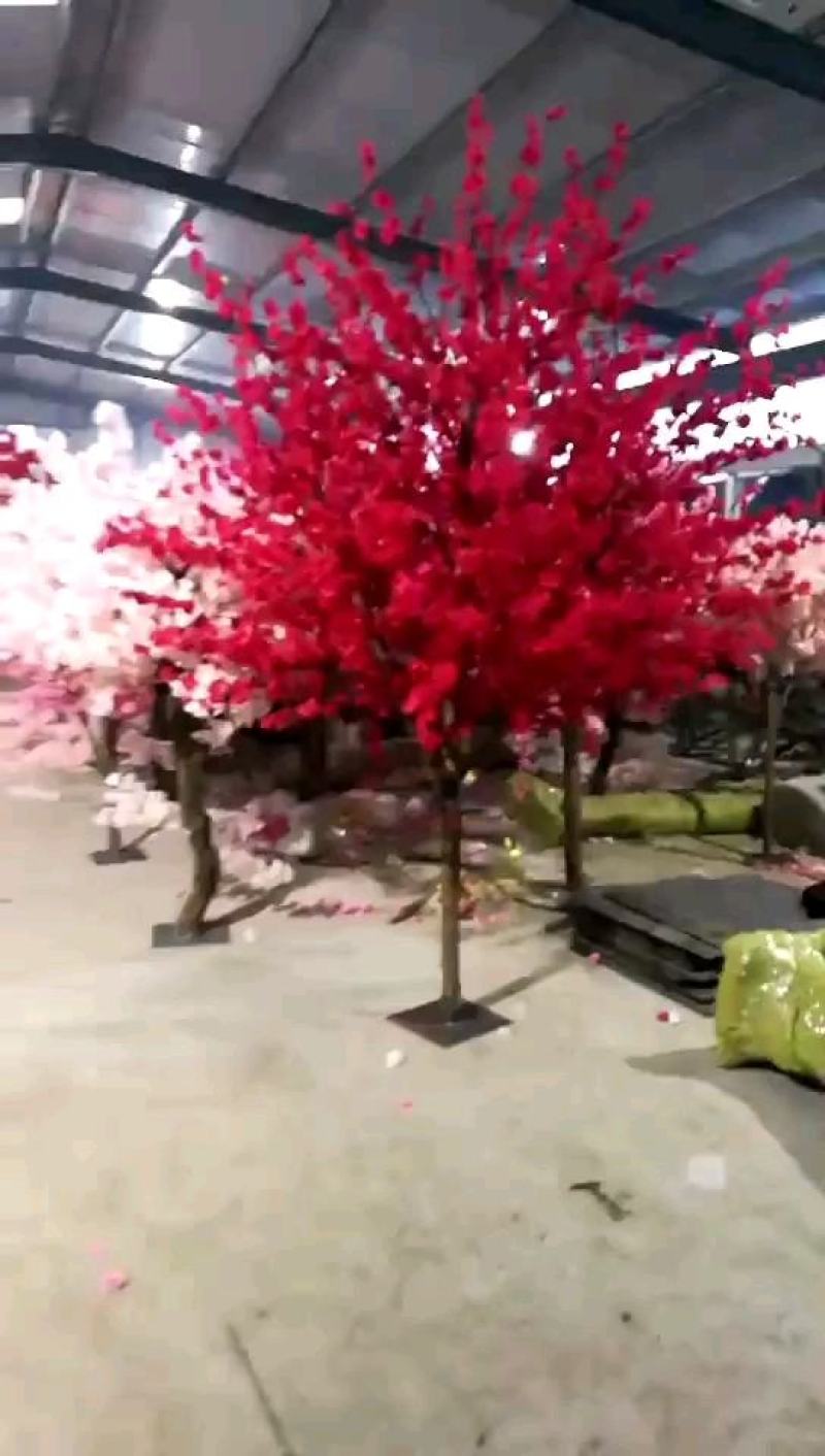 仿真摇钱树金榕树
