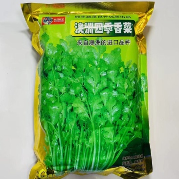 澳洲进口香菜种子一年四季均可播蔬菜籽夏秋耐热耐寒香菜种子