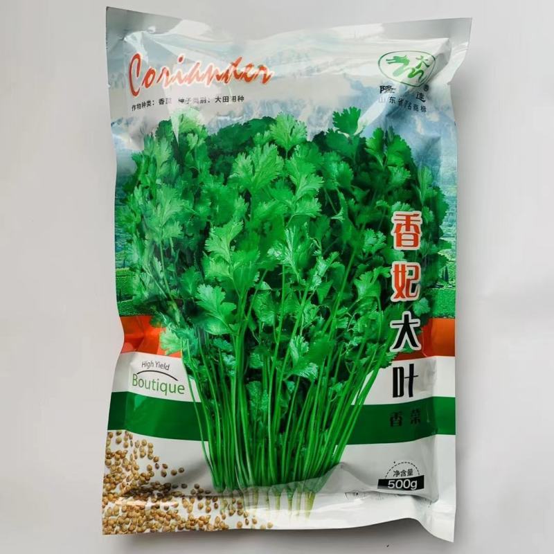 澳洲进口香菜种子一年四季均可播蔬菜籽夏秋耐热耐寒香菜种子