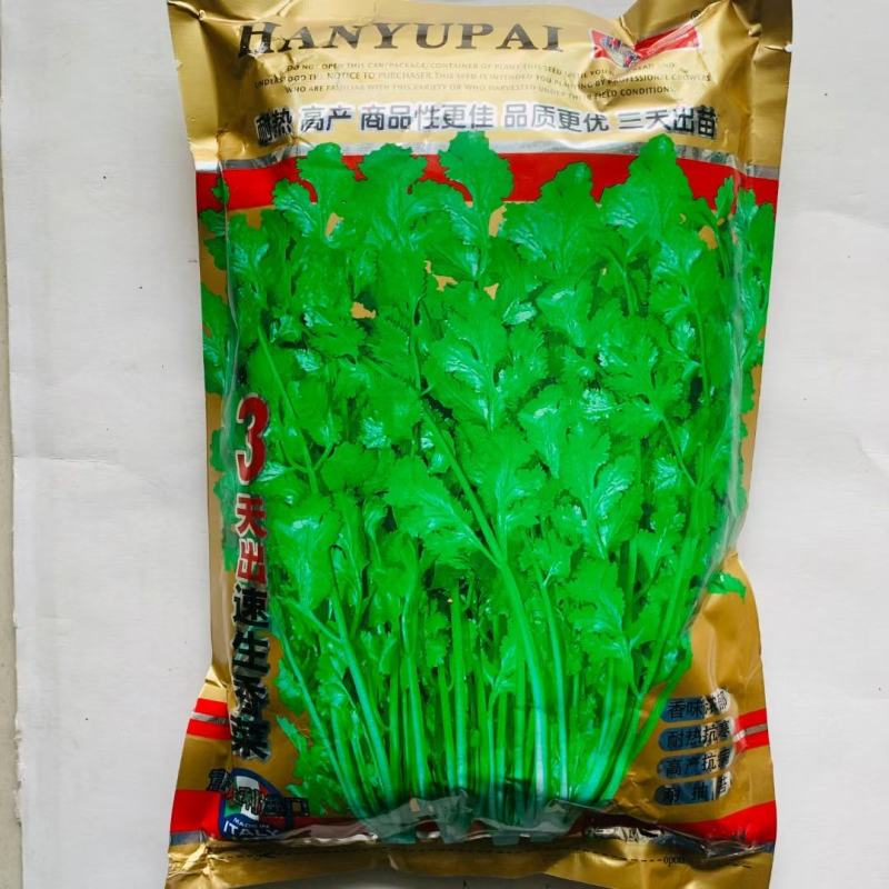 澳洲进口香菜种子一年四季均可播蔬菜籽夏秋耐热耐寒香菜种子