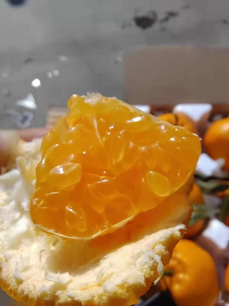 蒲江春见耙耙柑不催熟，不打蜡科学管理味道巴适