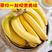 【甜糯】高山香甜香蕉自然熟现摘新鲜当季水果皇帝蕉天宝蕉