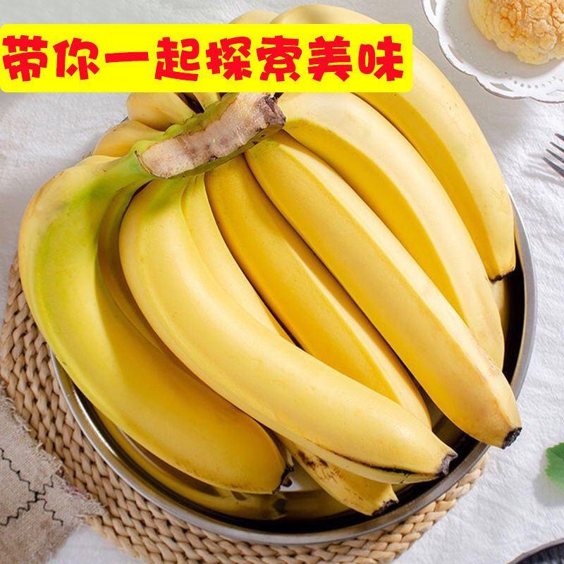 【甜糯】高山香甜香蕉自然熟现摘新鲜当季水果皇帝蕉天宝蕉