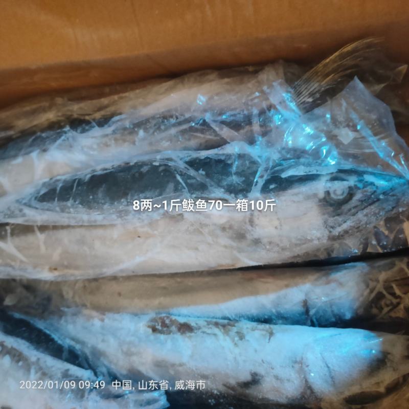 威海本地燕鲅鱼，又叫马鲛鱼