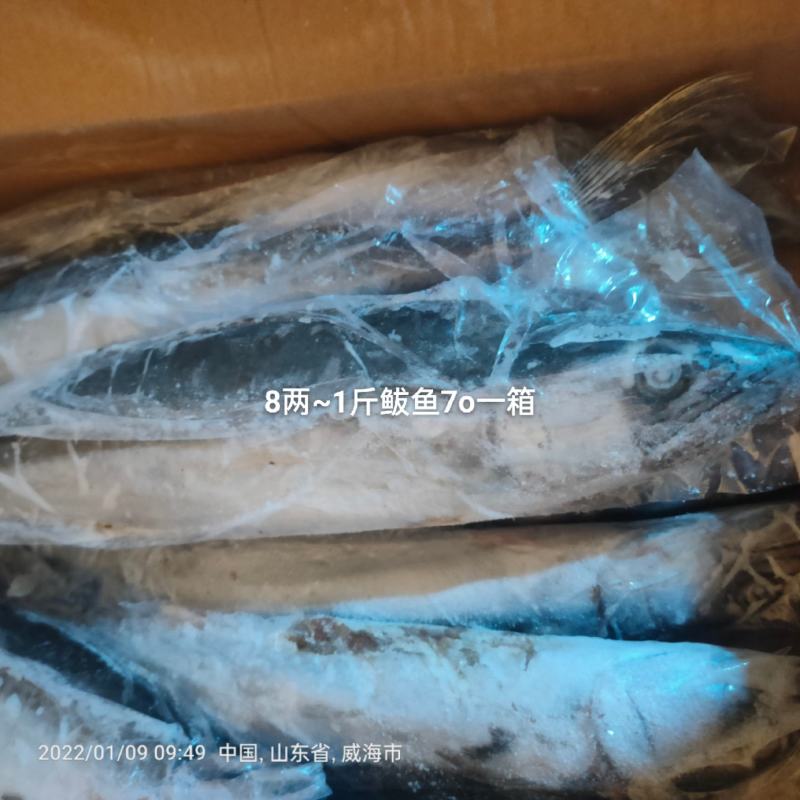 威海本地燕鲅鱼，又叫马鲛鱼
