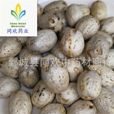 【南酸枣五眼果】@【同欢药材】中药材批发供应规格齐